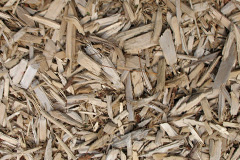 biomass boilers Llanddewi Skirrid