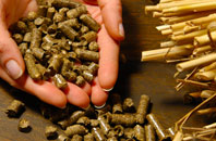 free Llanddewi Skirrid biomass boiler quotes